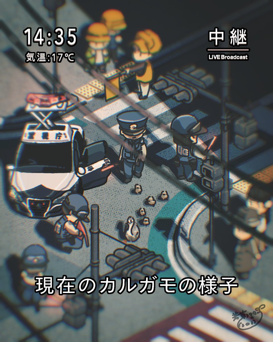 現在のカルガモの様子